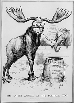 caricature of Roosevelt as a bull moose