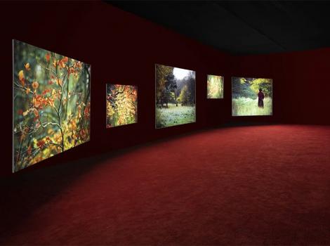 view of a gallery with video installations.